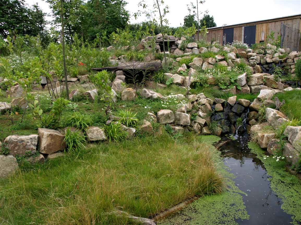Rotterdam Zoo - Pudu exhibit