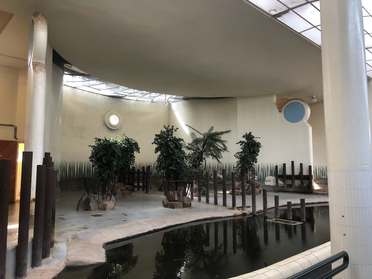 Rotterdam Zoo- pygmy hippo indoor enclosure- 2022