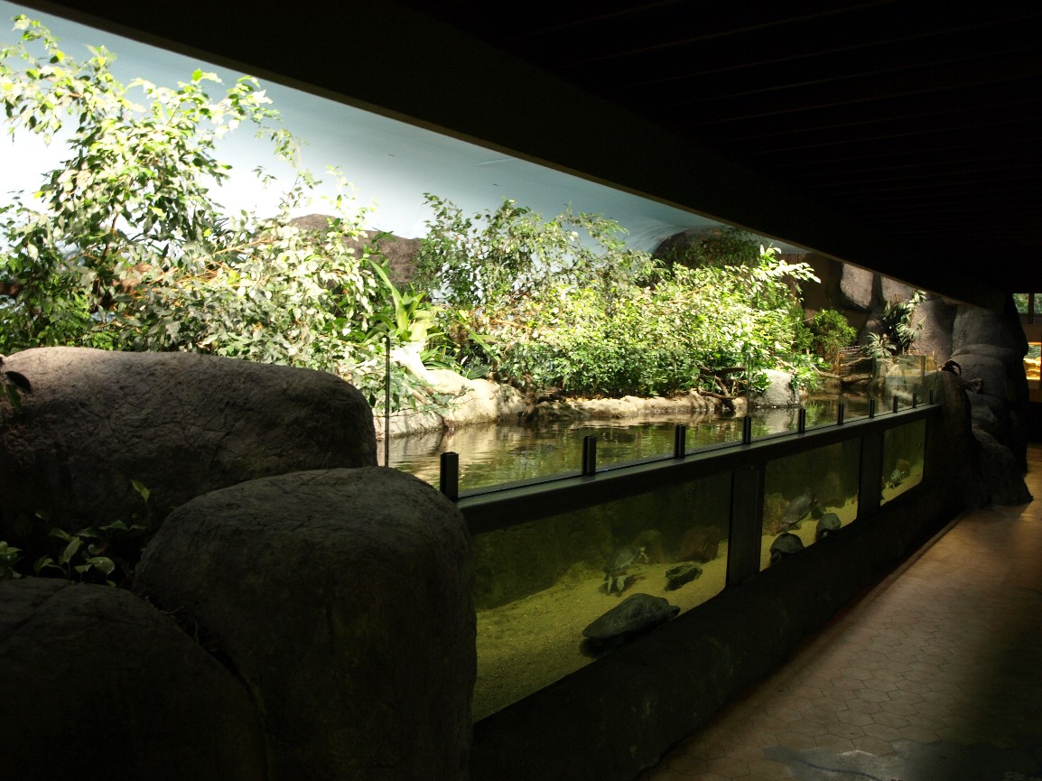 Rotterdam Zoo - River exhibit