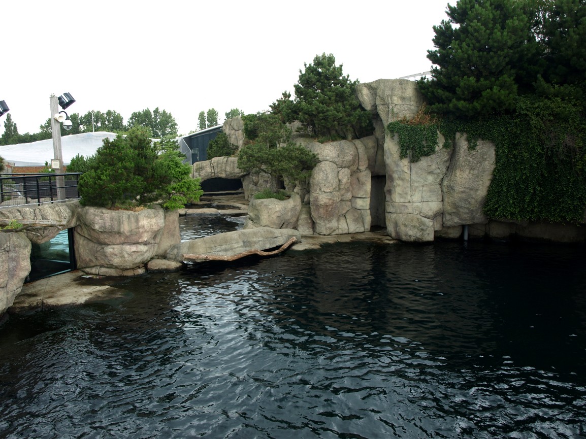 Rotterdam Zoo - Sea lion exhibit