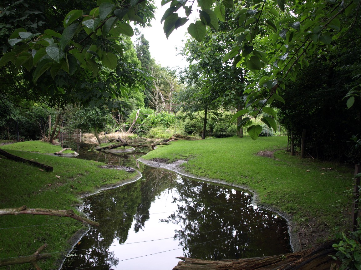 Rotterdam Zoo - Spotted deer exhibit