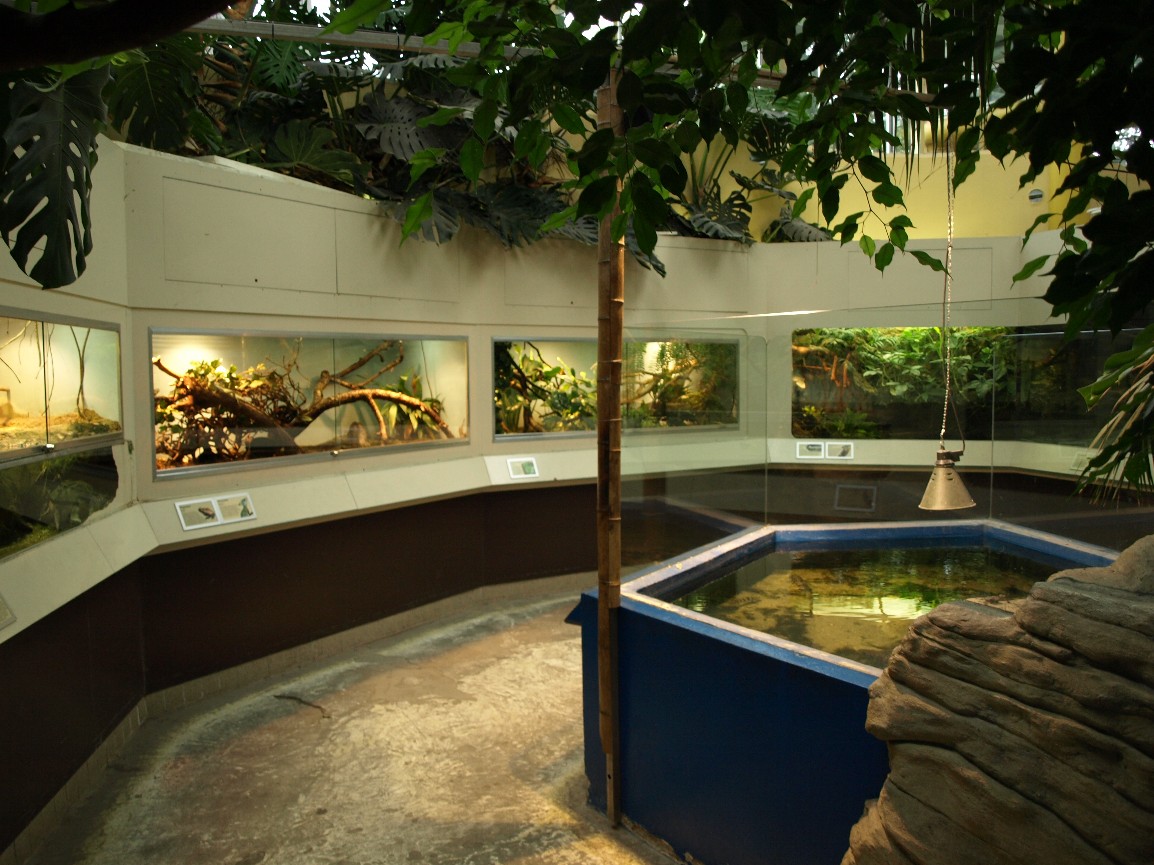 Rotterdam Zoo - Terraria