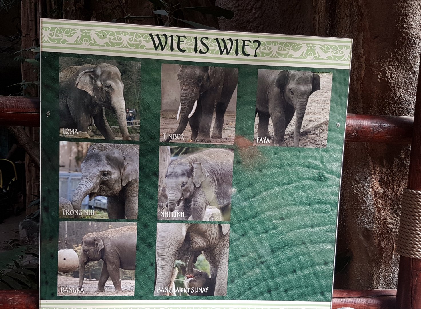 Rotterdams elephant ID's