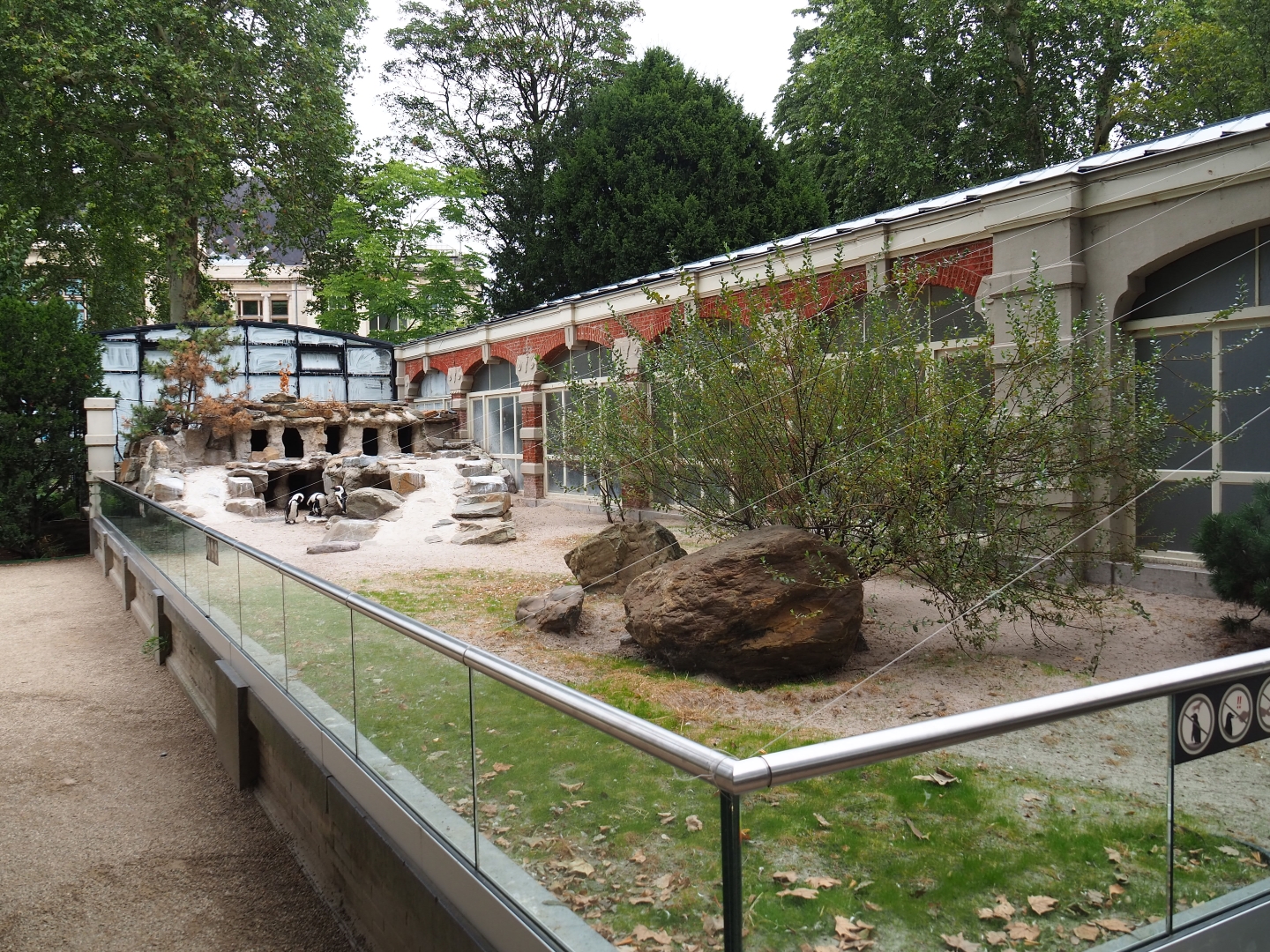 Rotunda Building - Black-footed penguin enclosure  - Nesting area