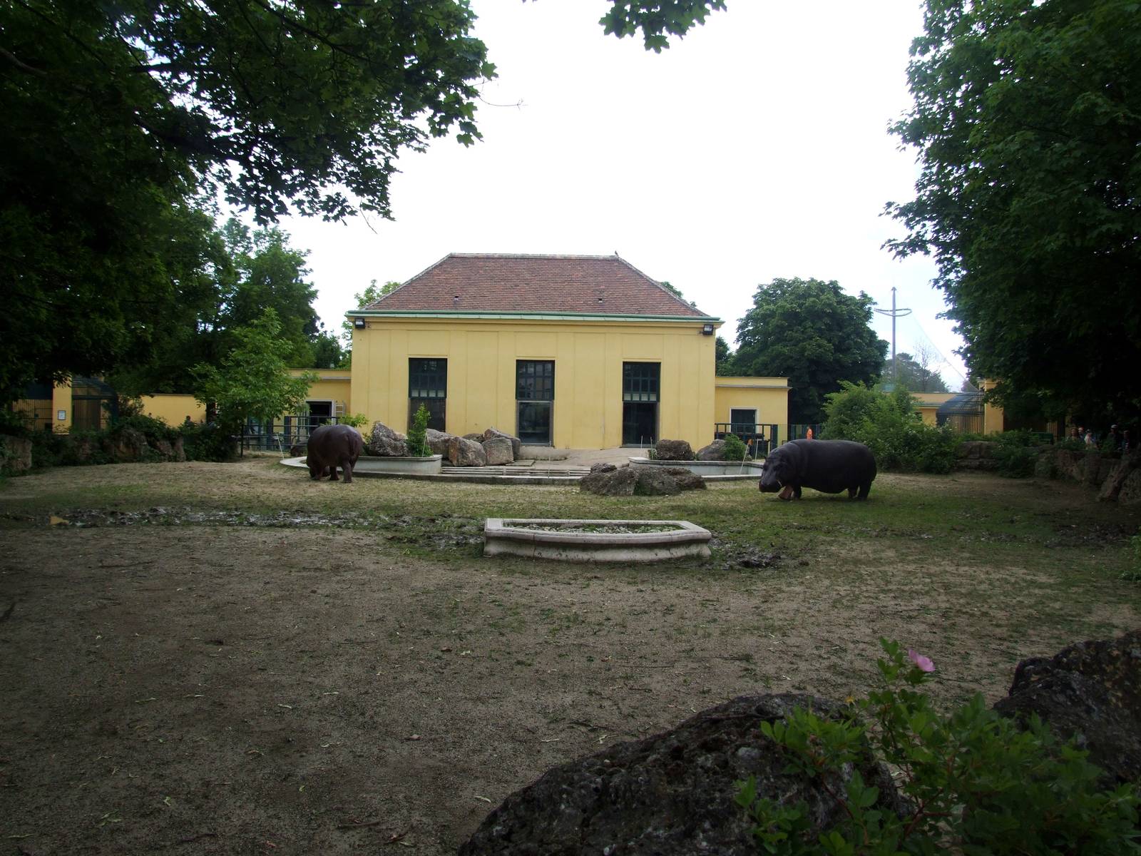 Rotunda Exhibits at Vienna, 14/06/13
