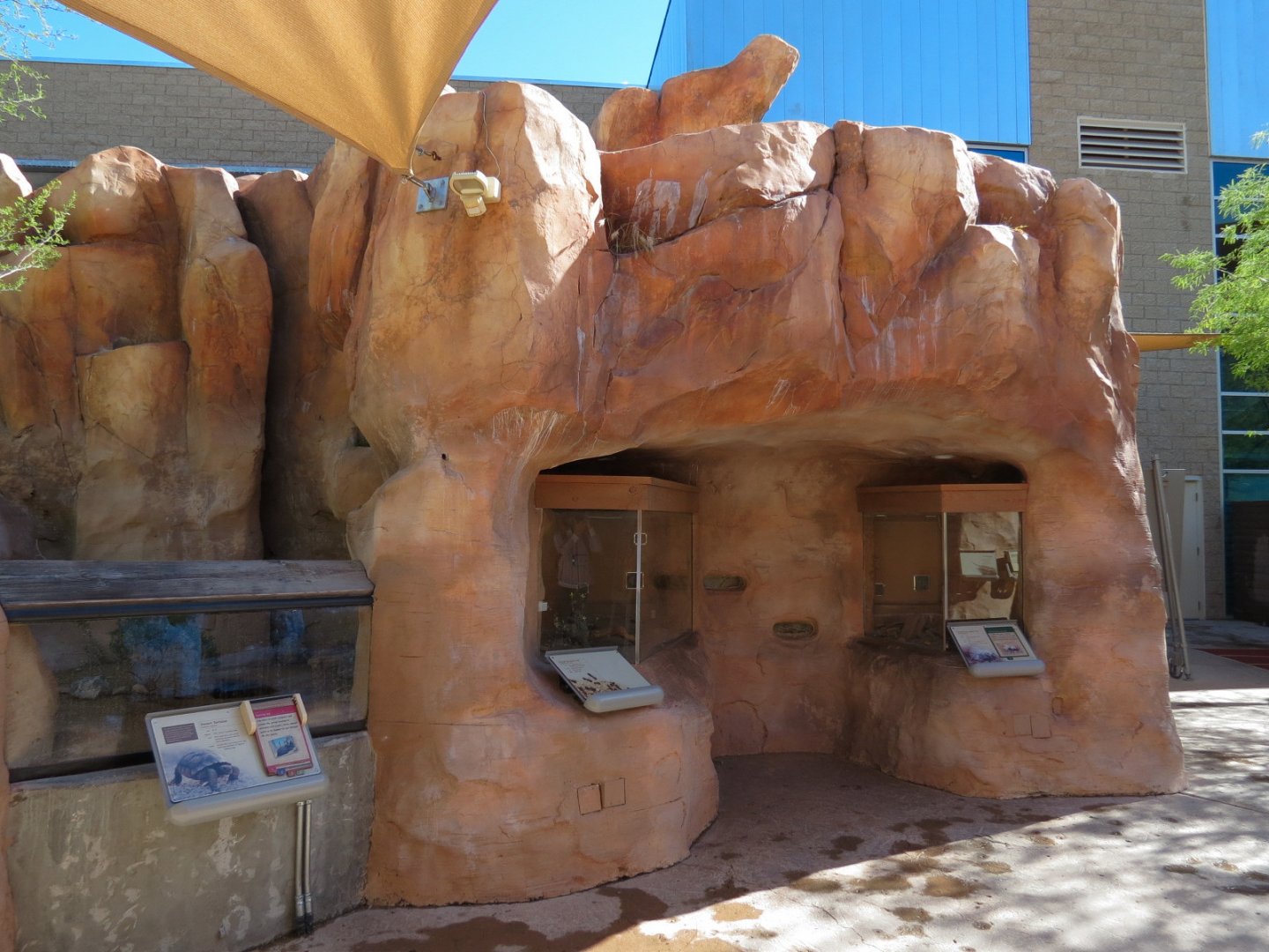 Rough Harvester and Thistledown Velvet Ant Exhibits