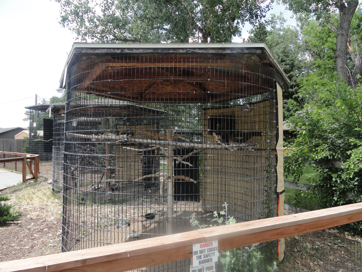 Rough Legged Hawk Exhibit