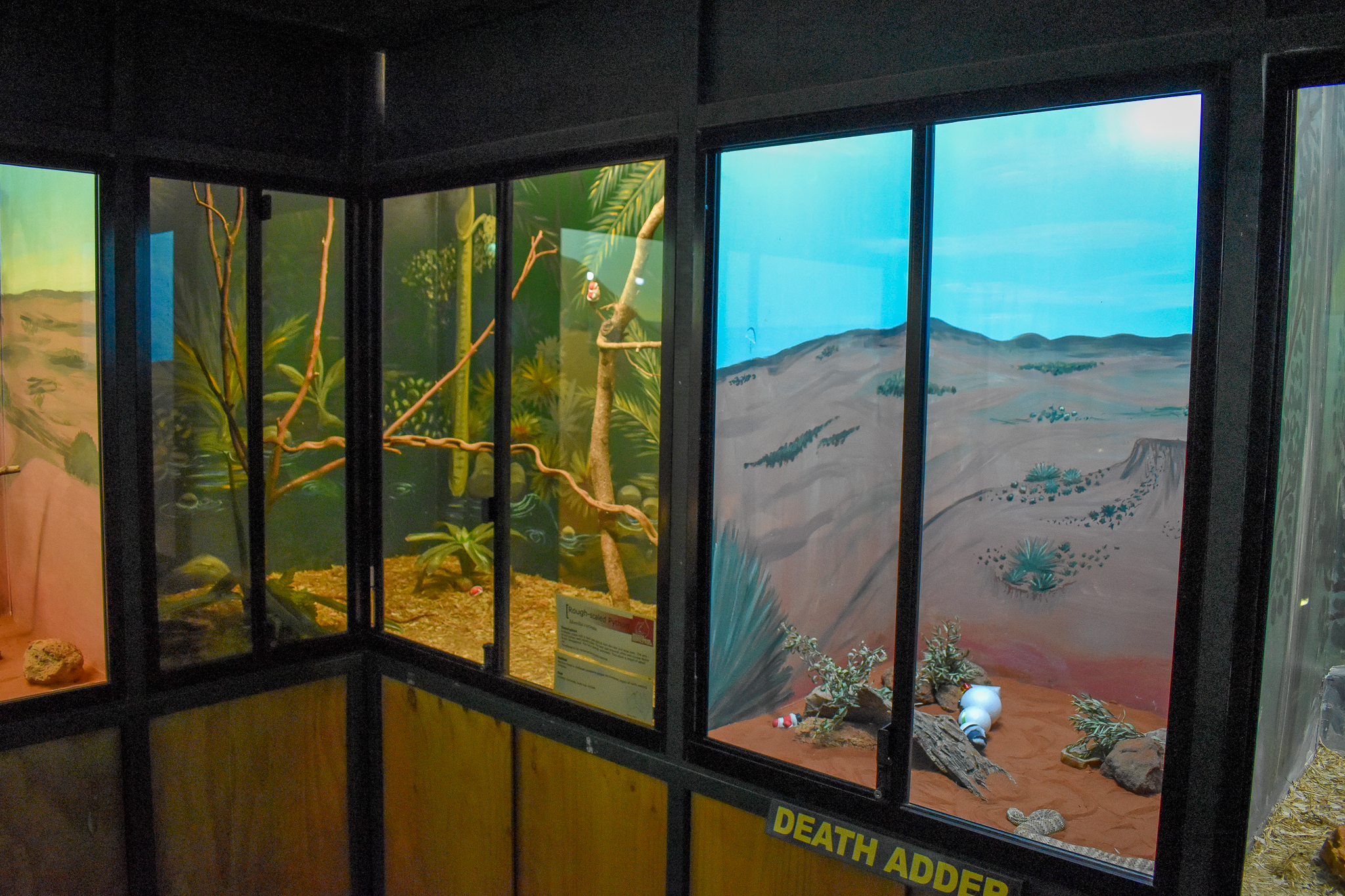 Rough-scaled Python/Death Adder Enclosures