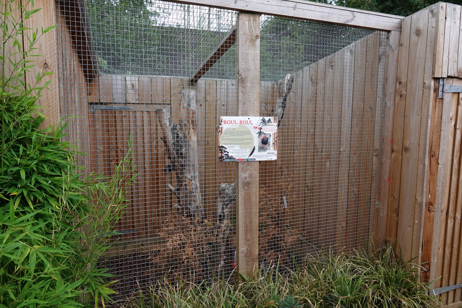 Roul-roul partridge aviary