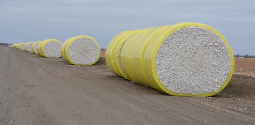 Round cotton bales