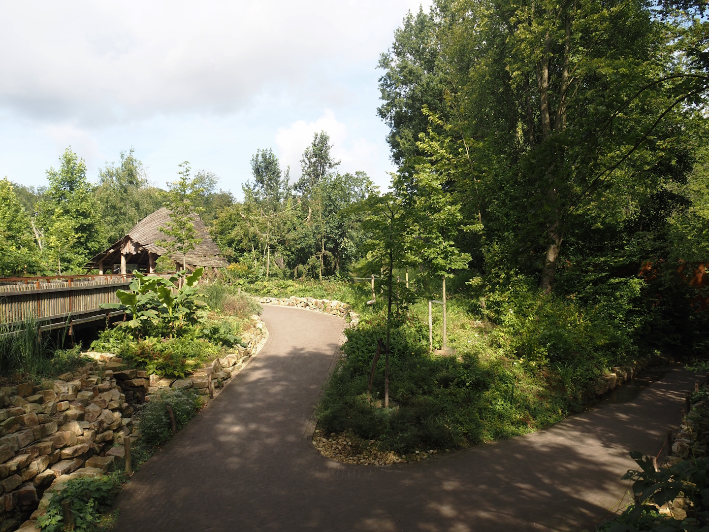 Route from the bush dog exhibit towards the monkey islands and the mixed South American exhibit in the Rainforest area, 2024-08-21