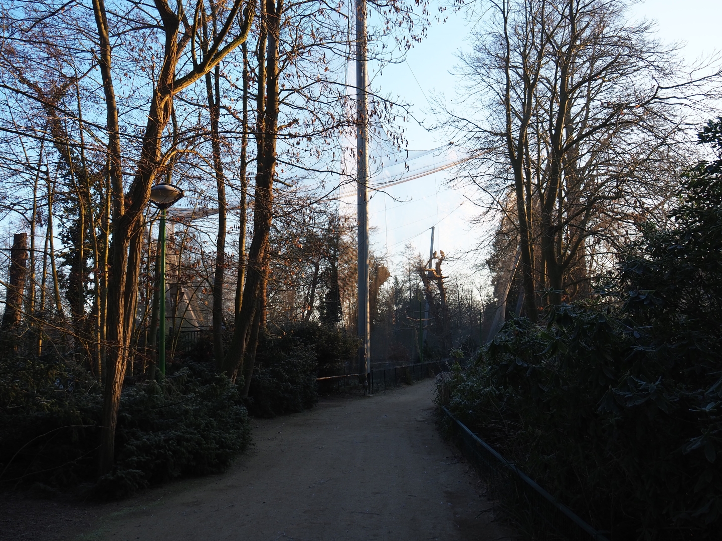 Route from the parking lot to the park and vulture aviary (Jan 20th, 2019)