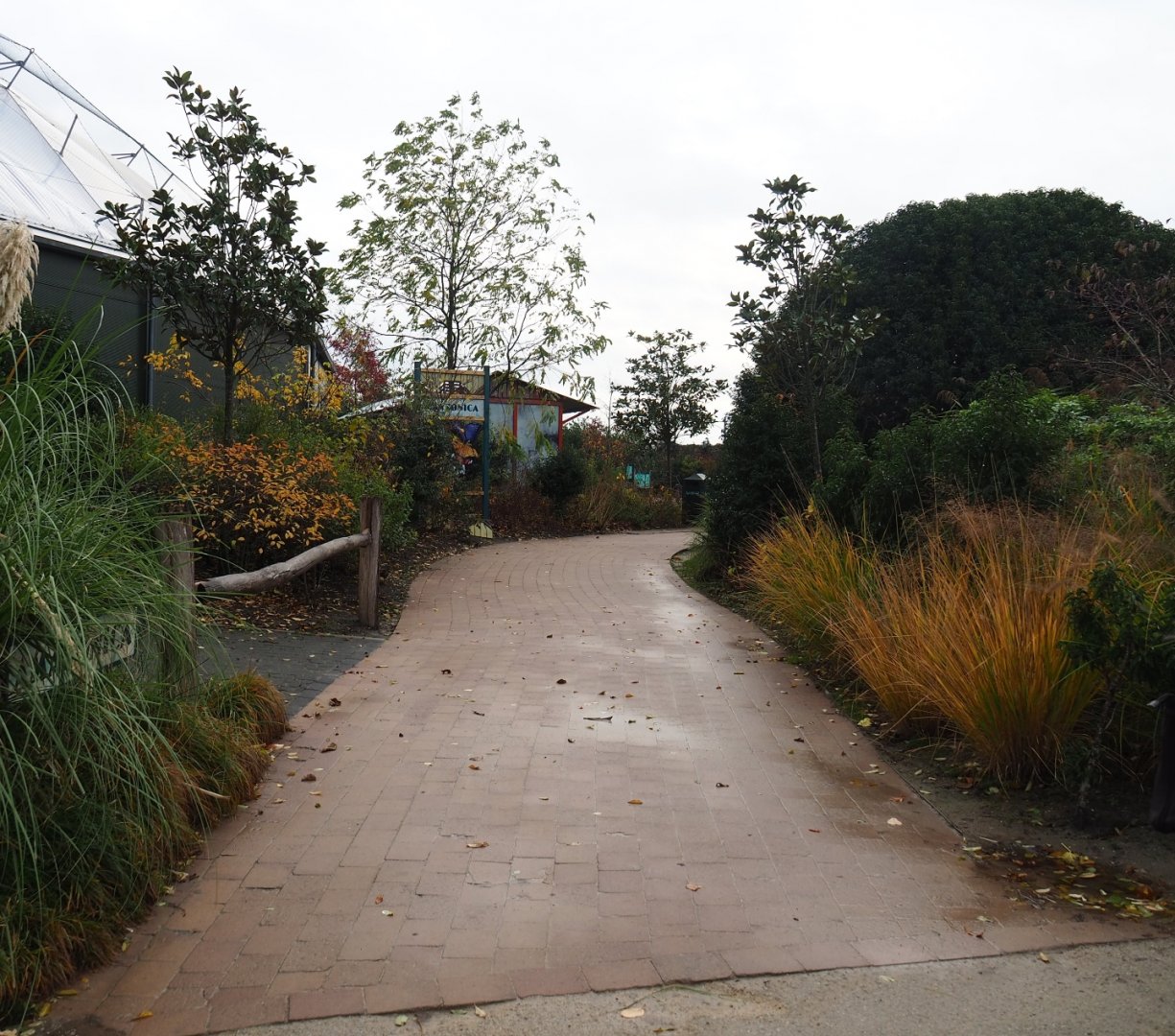 Route to the Amazonica house (Nov 10th, 2018)