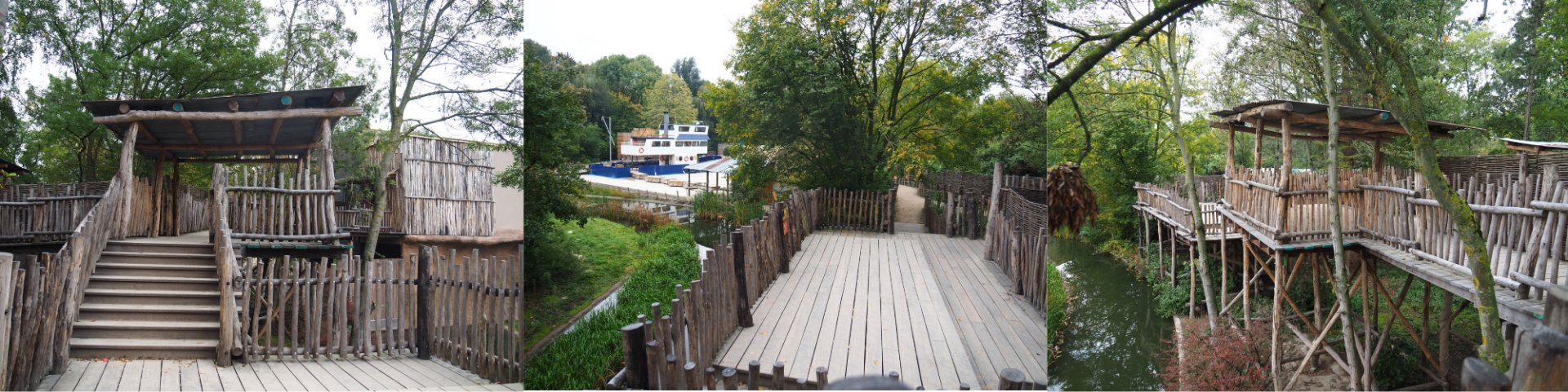 Route to the Bonobo house and Bonobo viewing areas, 2020-10-19