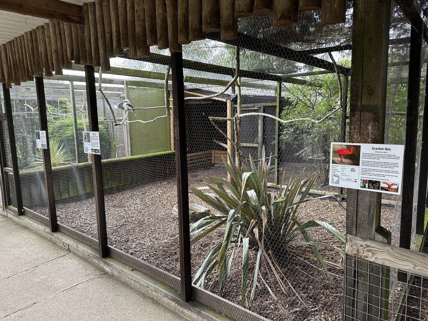 Row of Aviaries at Hamerton Zoo Park (October 2023)
