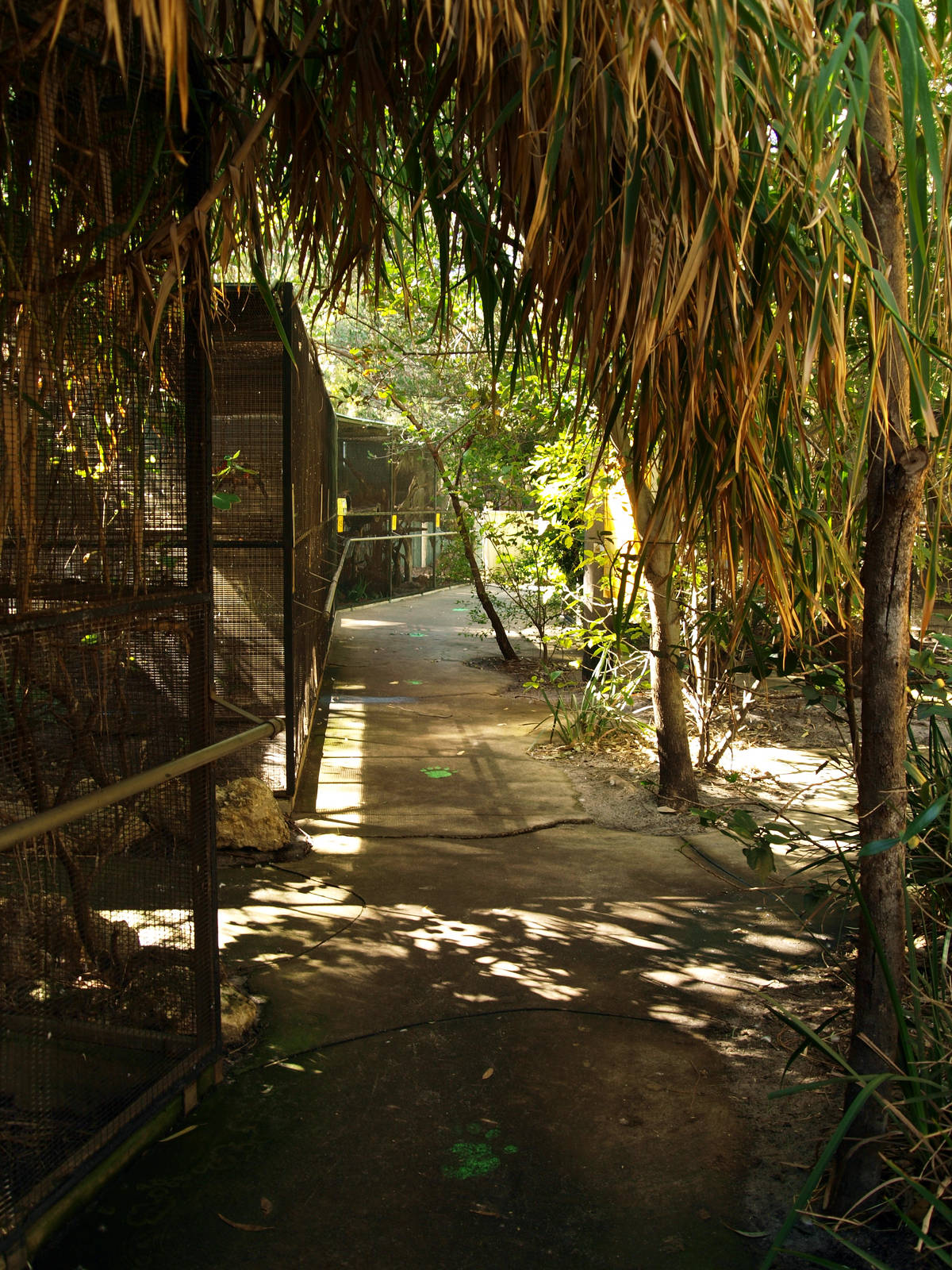 Row of aviaries for parrots