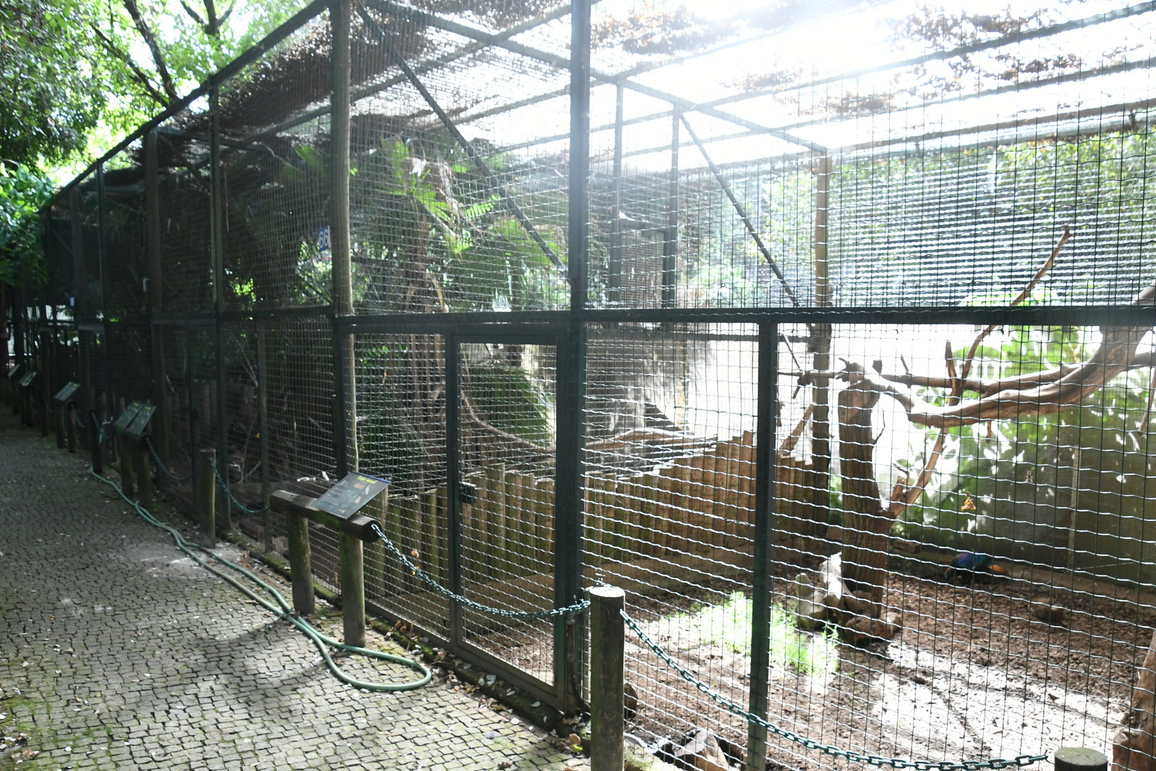 Row of Aviaries for Pheasants and Turacos (Zoo Lourosa)