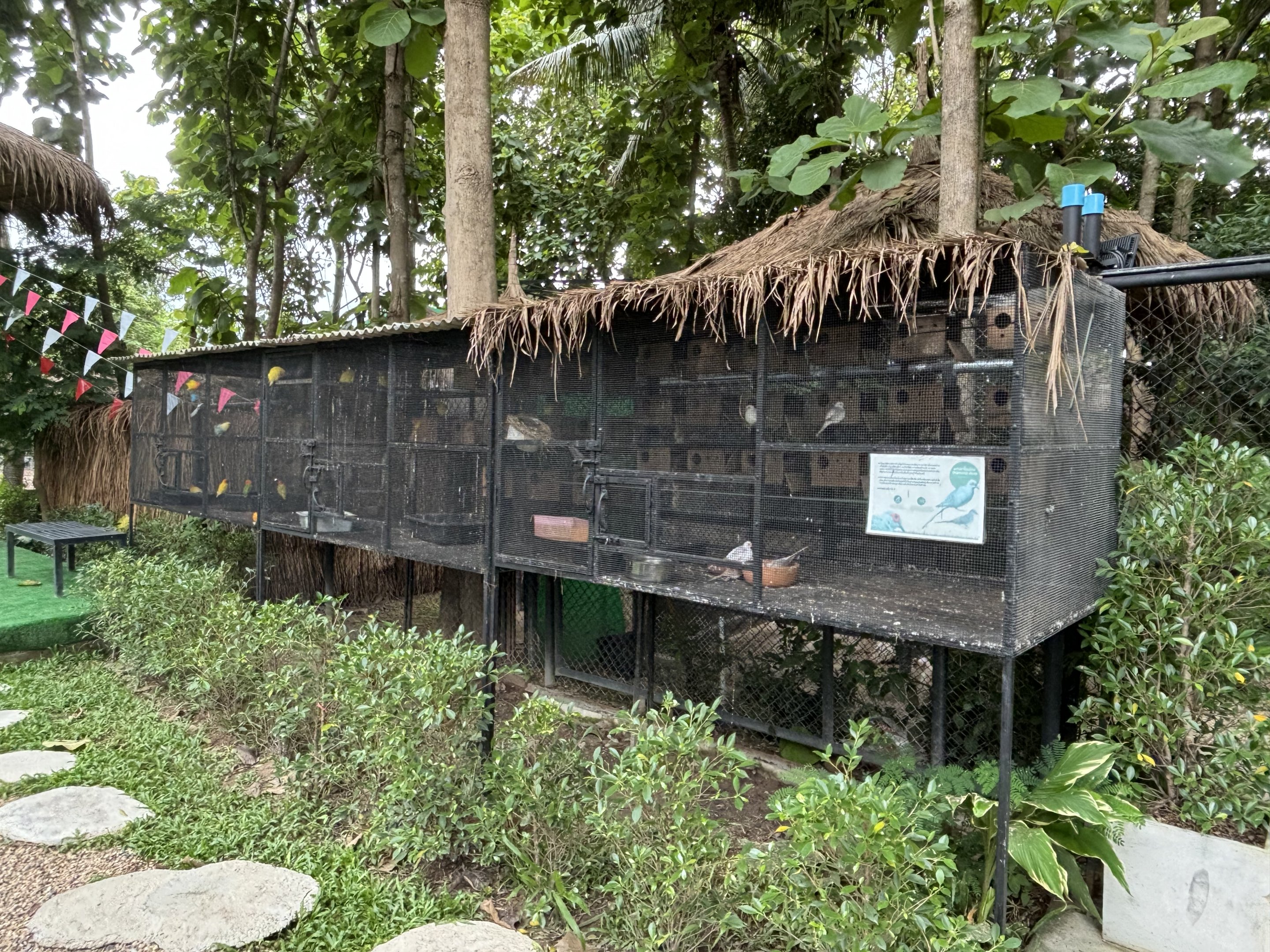 Row of Aviaries - Lanna Mini Zoo
