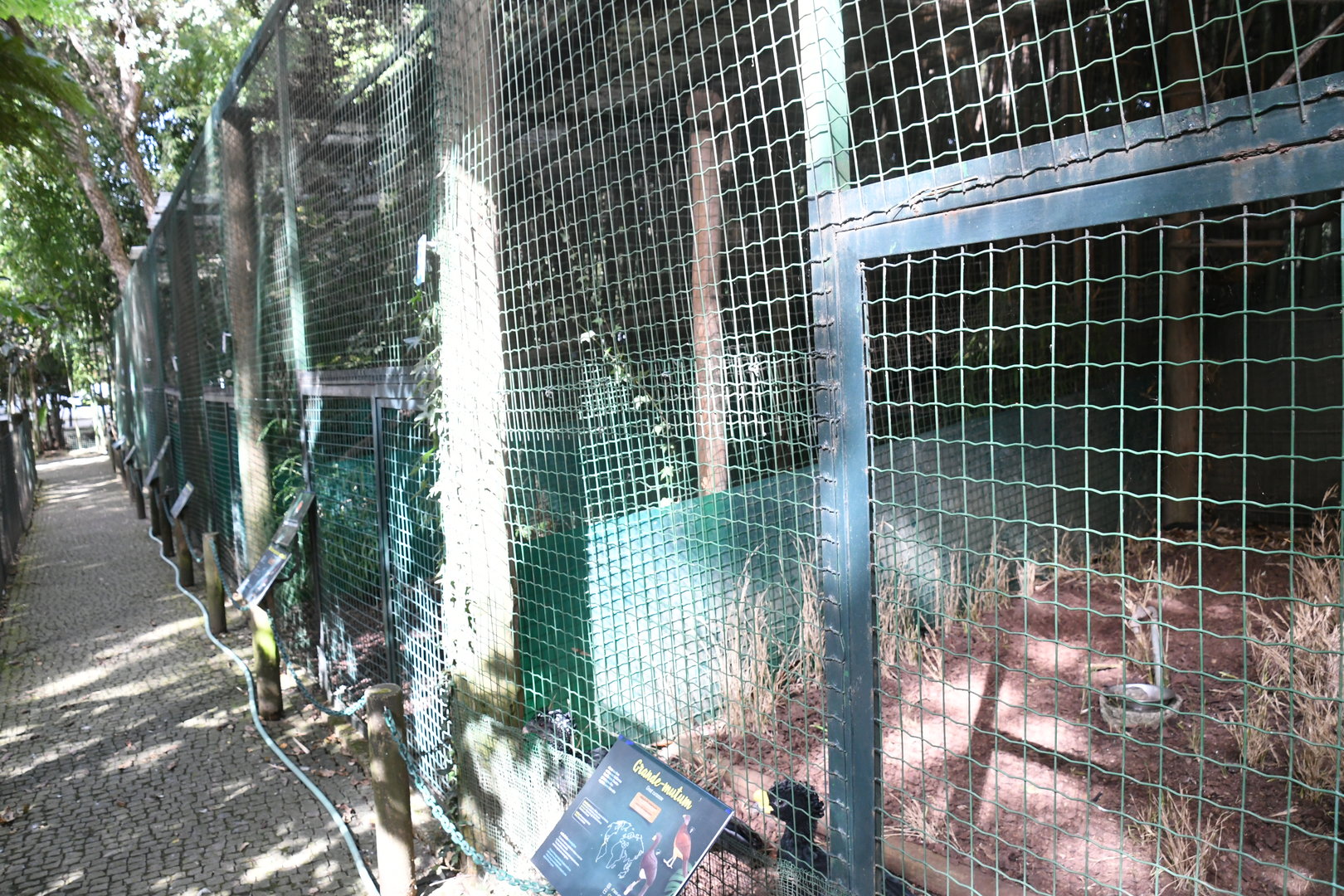 Row of Aviaries with Guans and Curassows (Zoo Lourosa)