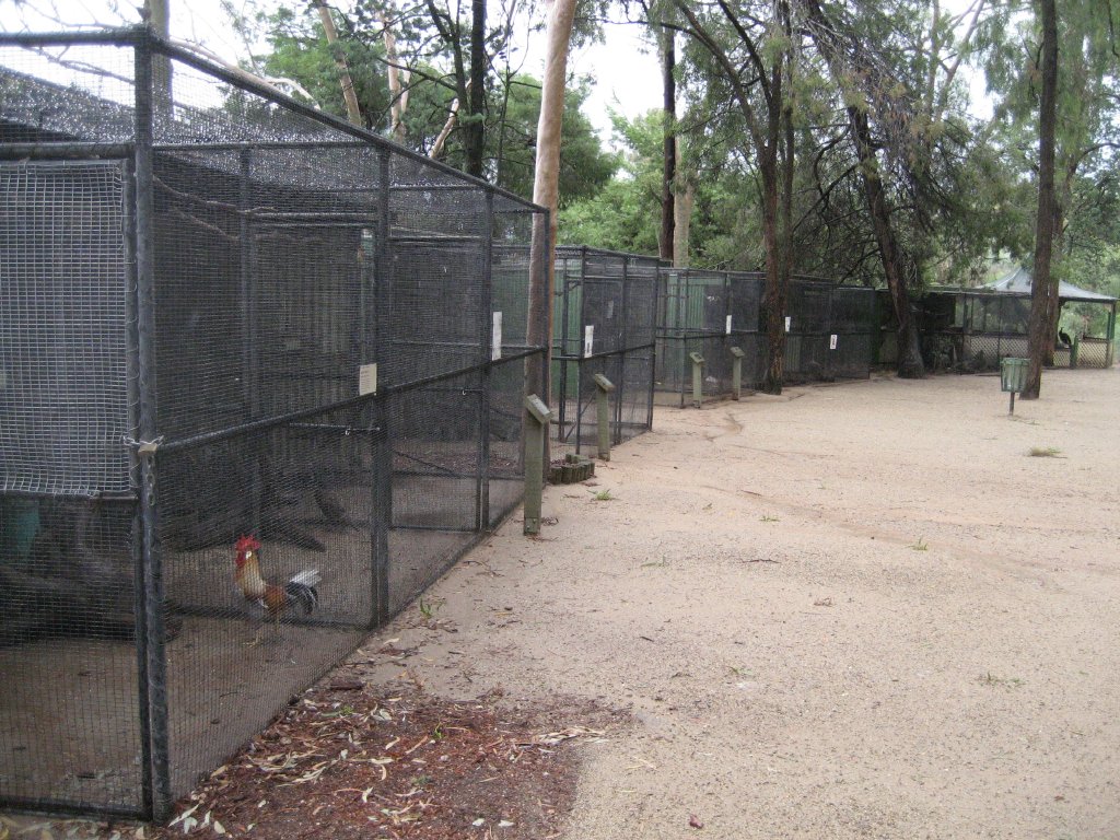 Row of Aviaries
