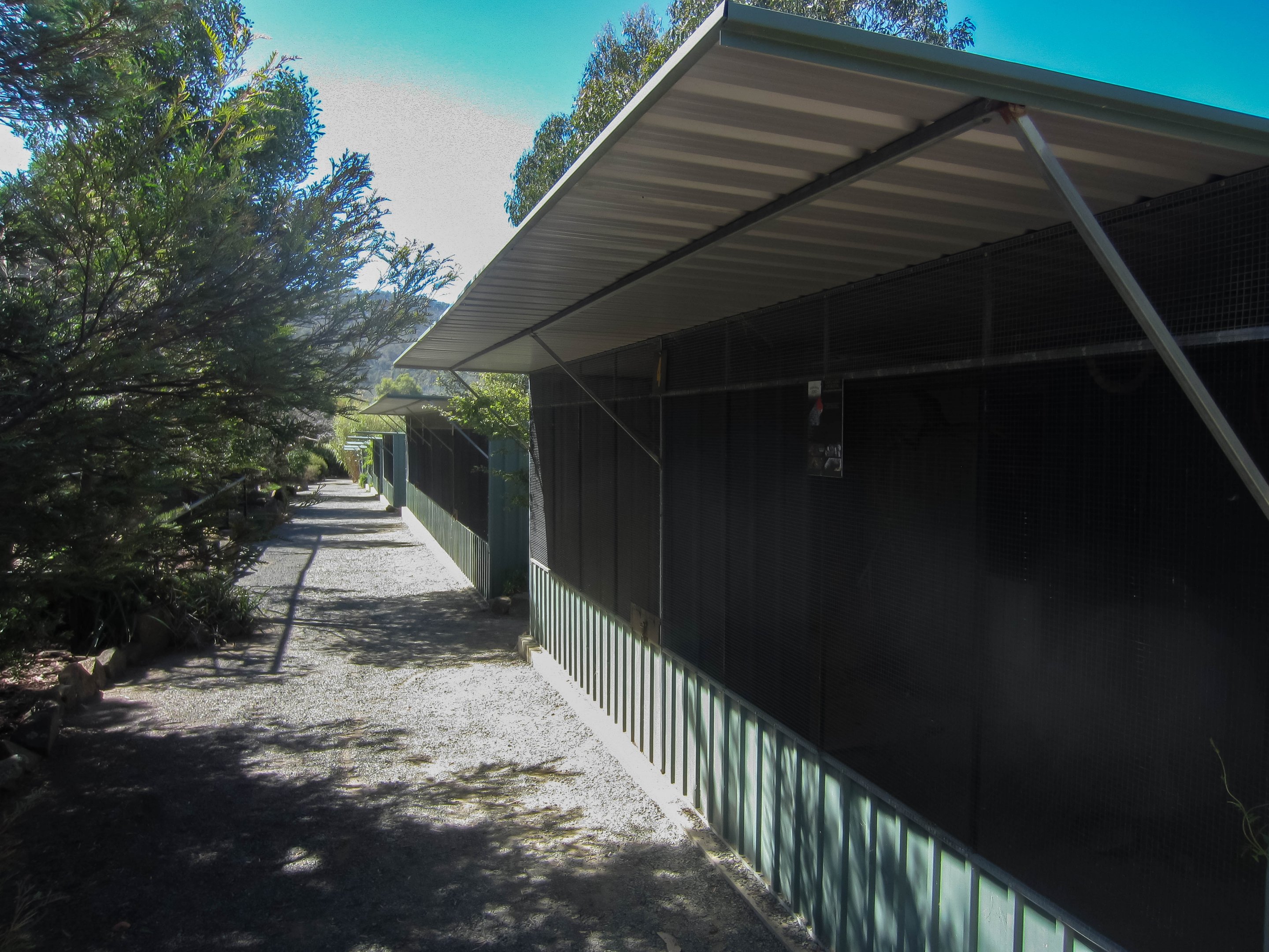 Row of Aviarys for Parrots and finches