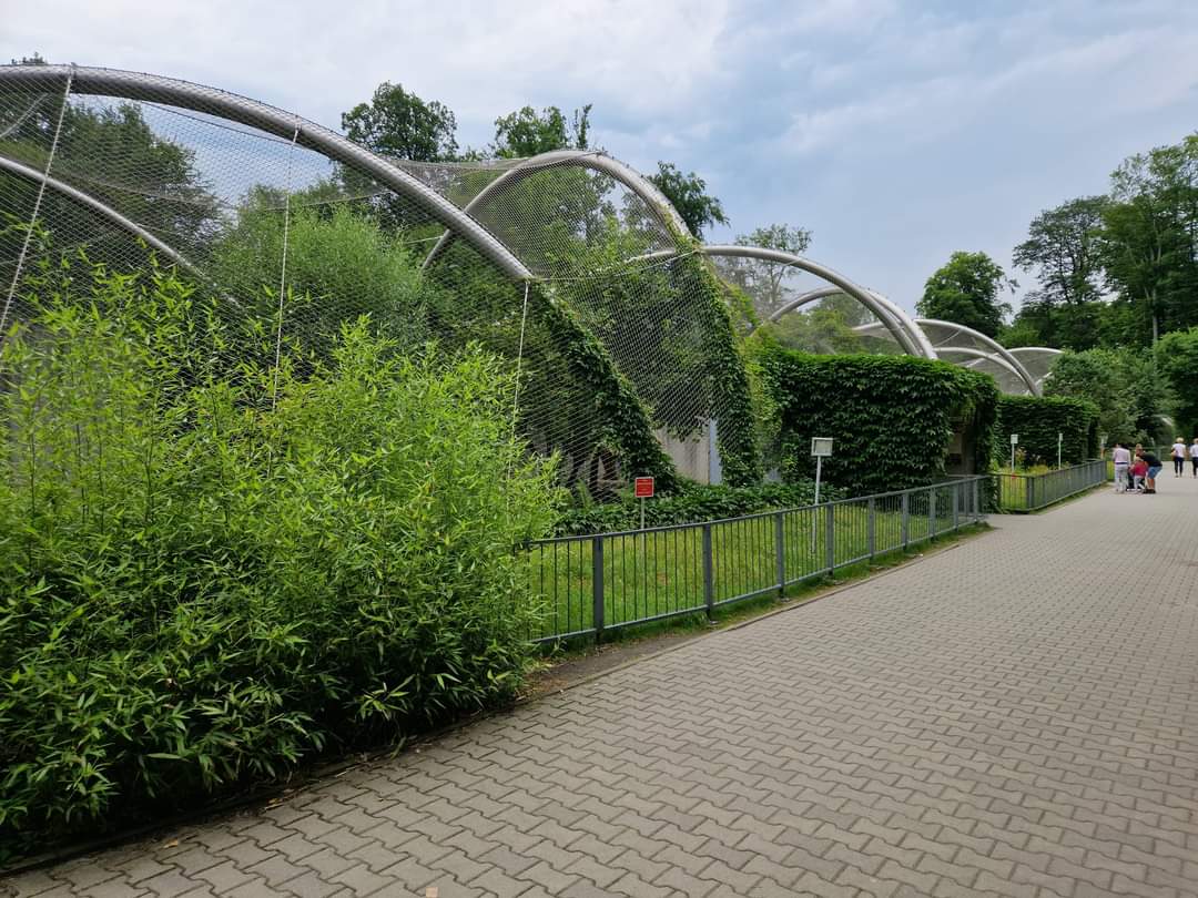 Row of Big Cat exhibits