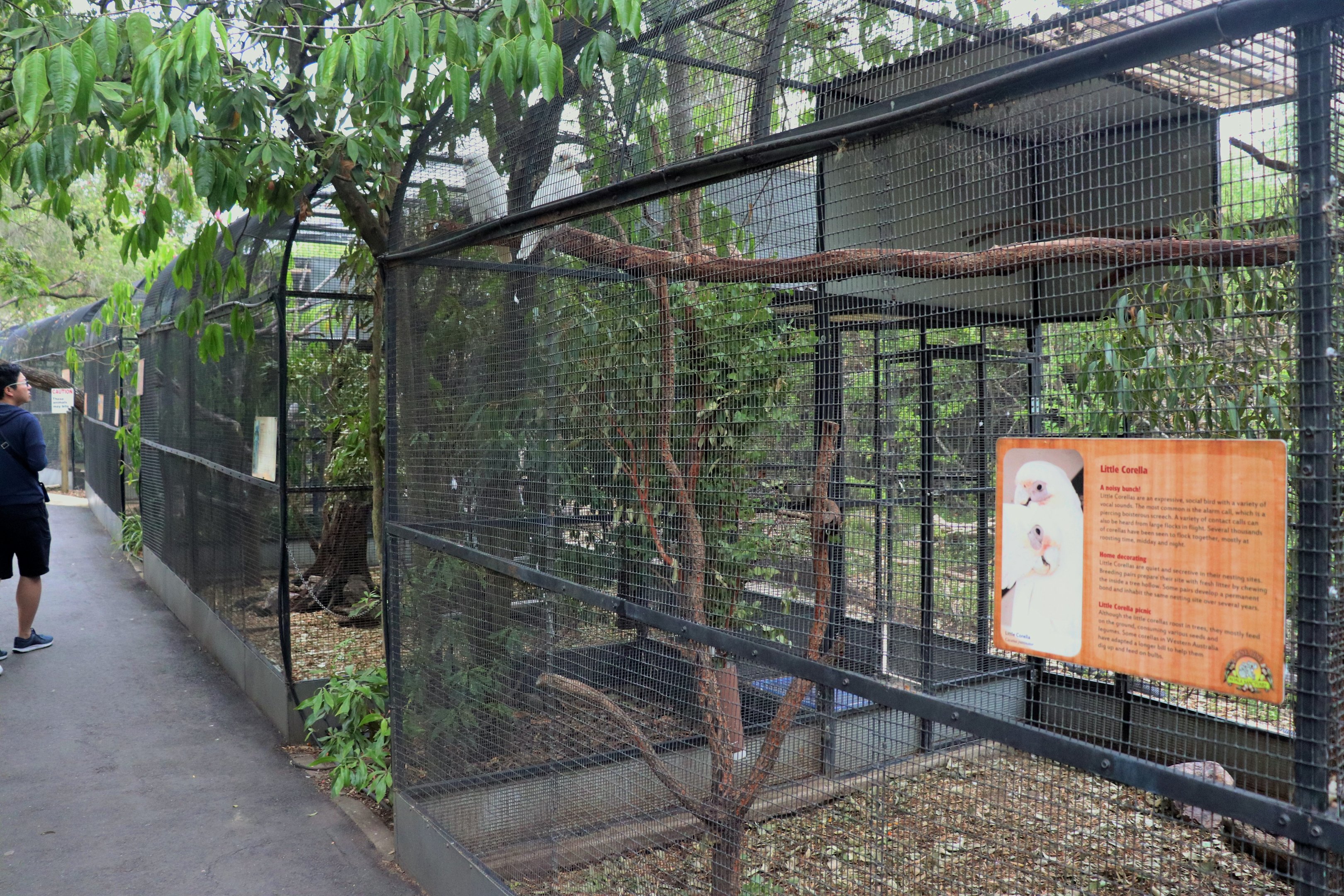 Row of Bird Aviaries