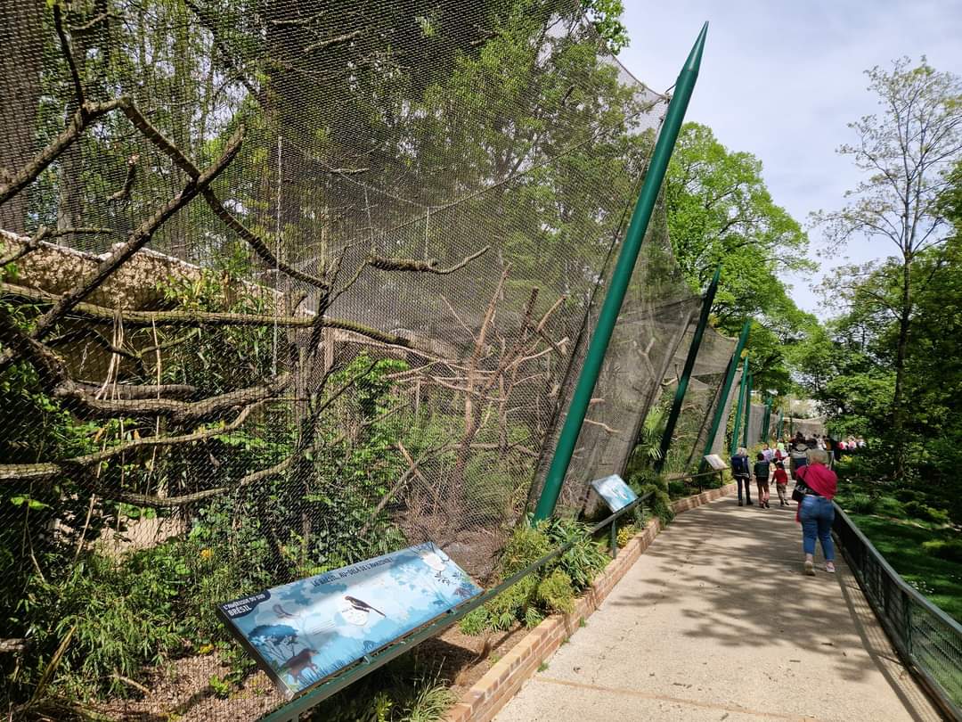 Row of Bird Aviaries