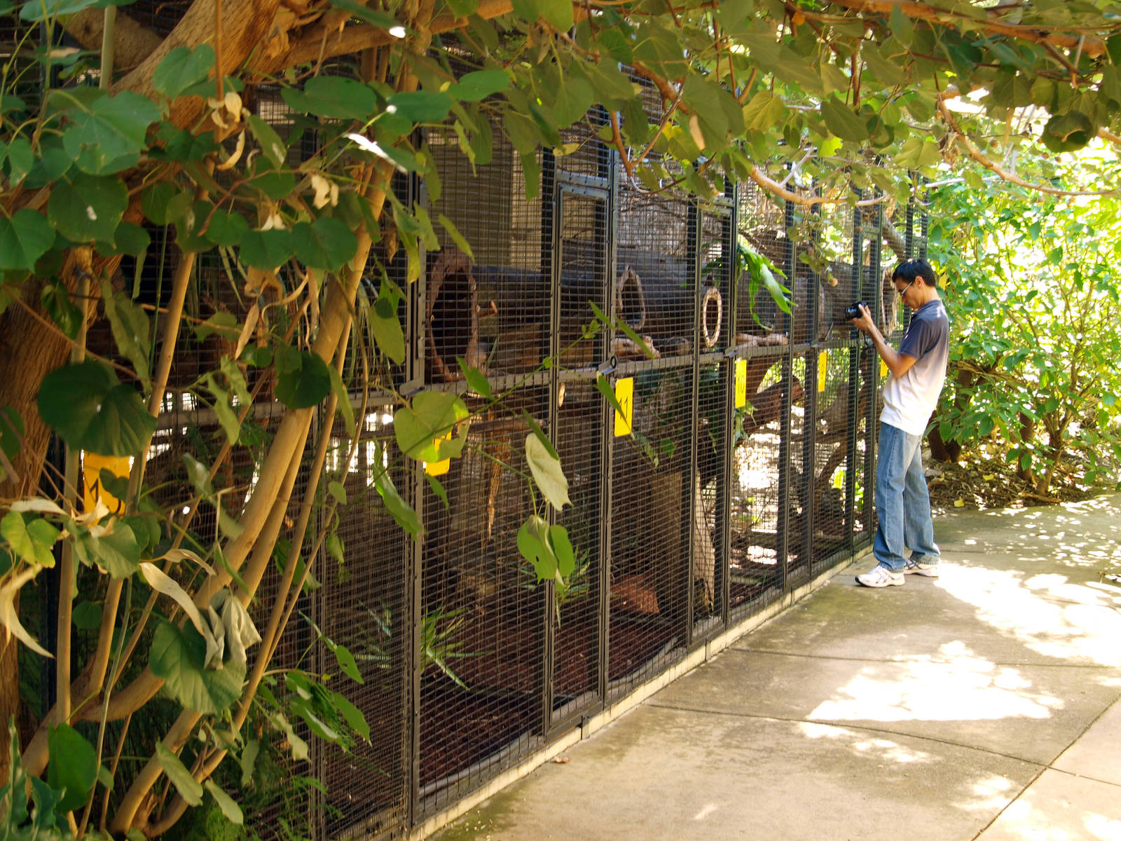 Row of cages for possums