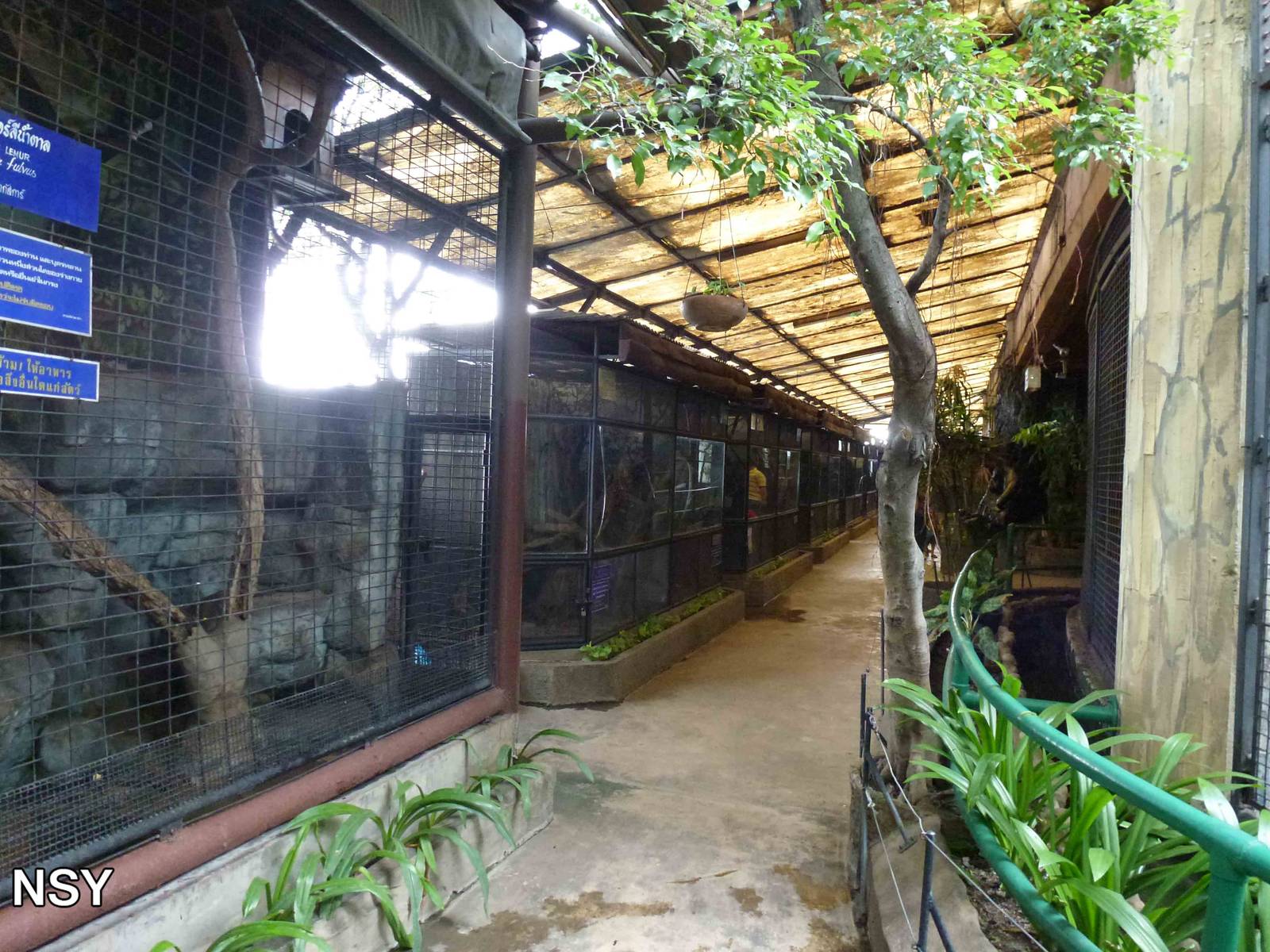 Row of cages, June 2013.