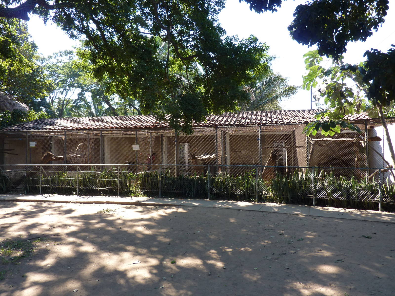 Row of carnivore cages