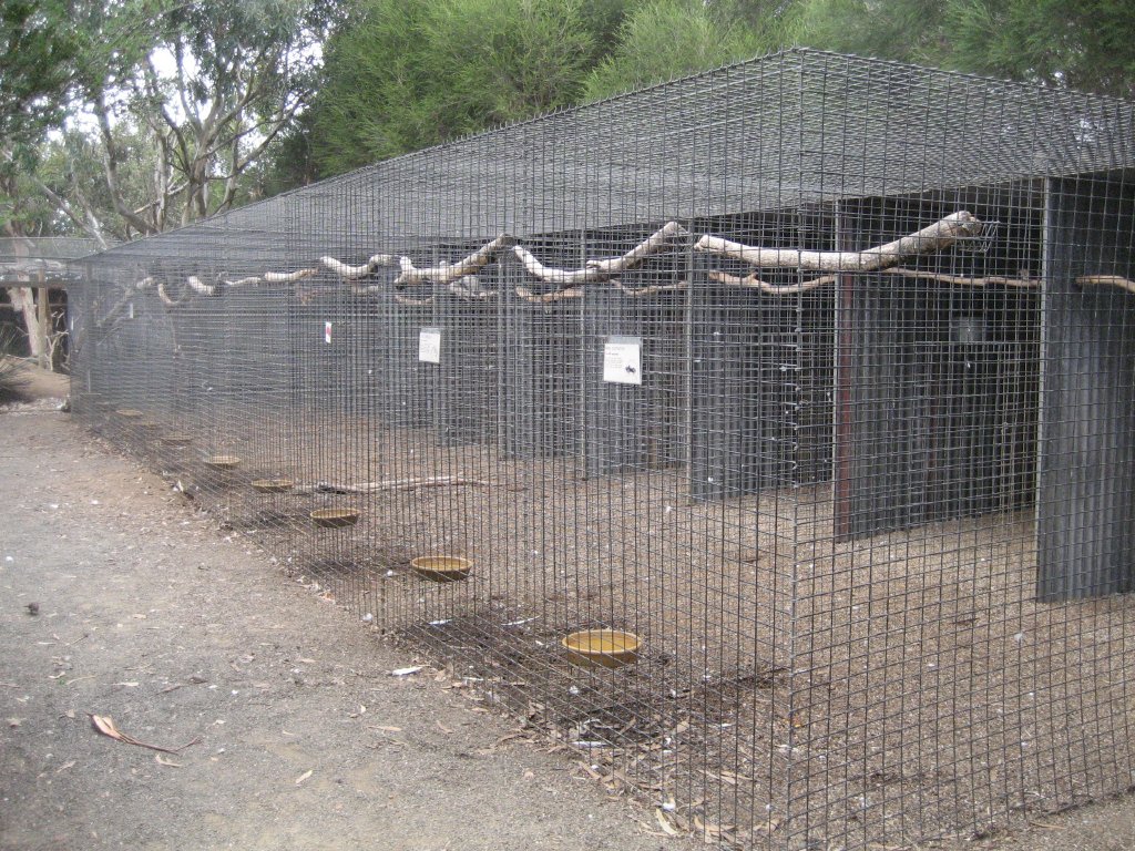 Row of cockatoo aviaries