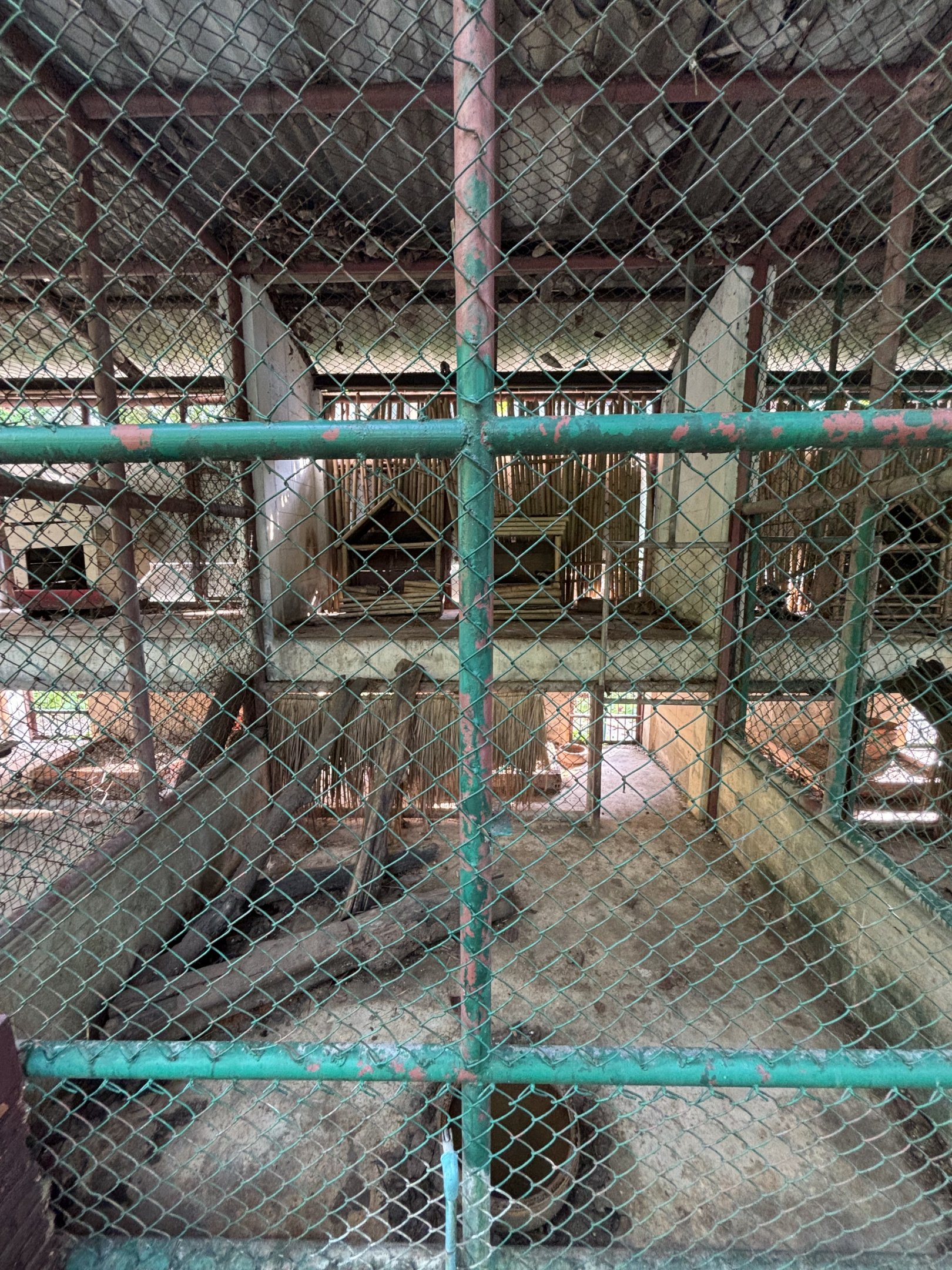 Row of Common Palm Civet Exhibits - Lopburi Zoo