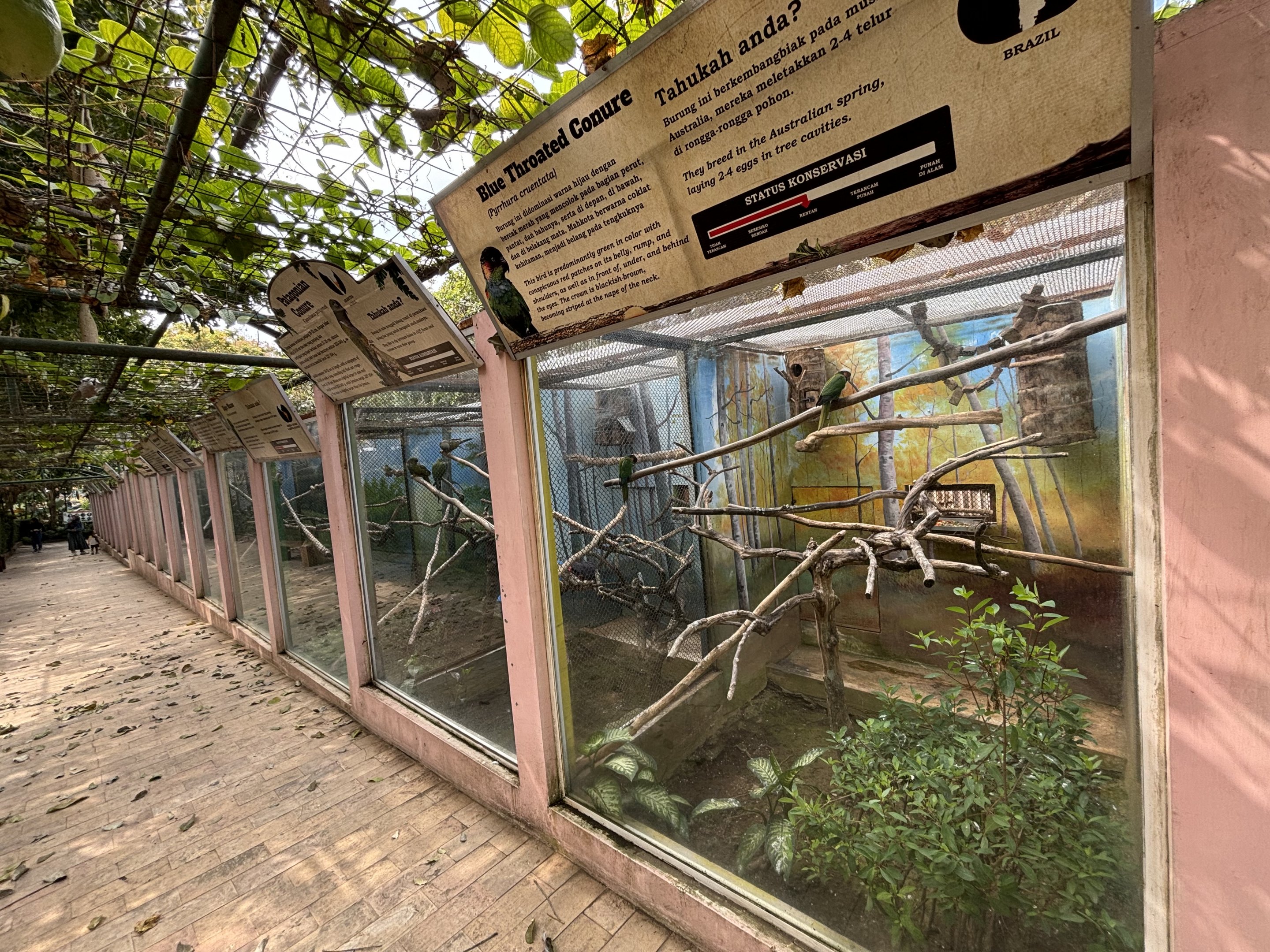 Row of Conure Aviaries
