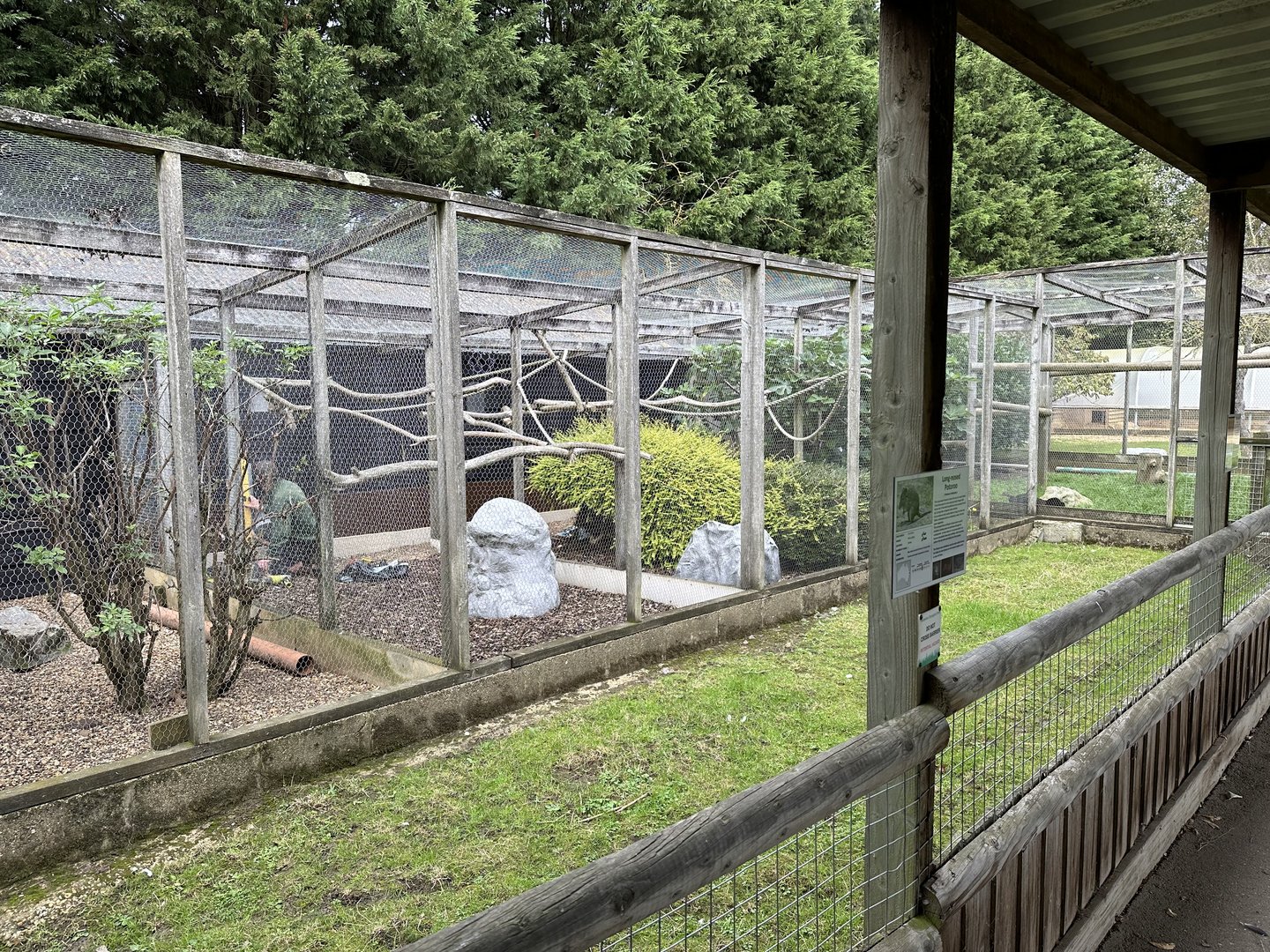 Row of Enclosures at Hamerton Zoo Park (October 2023)