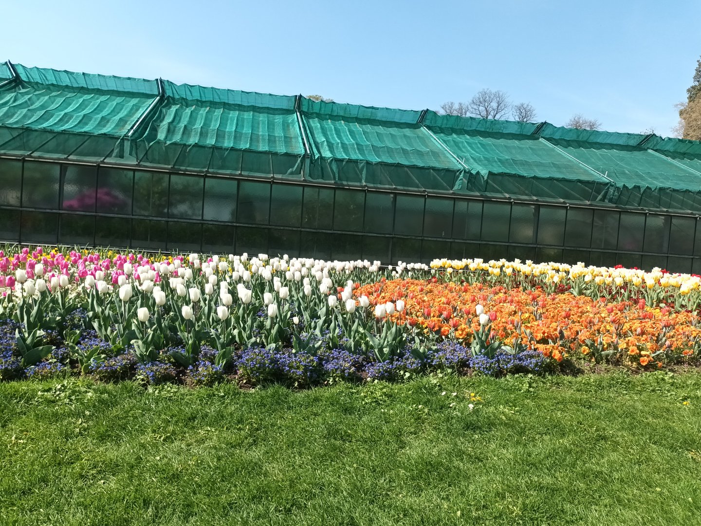 Row of Greenhouses and Flowers