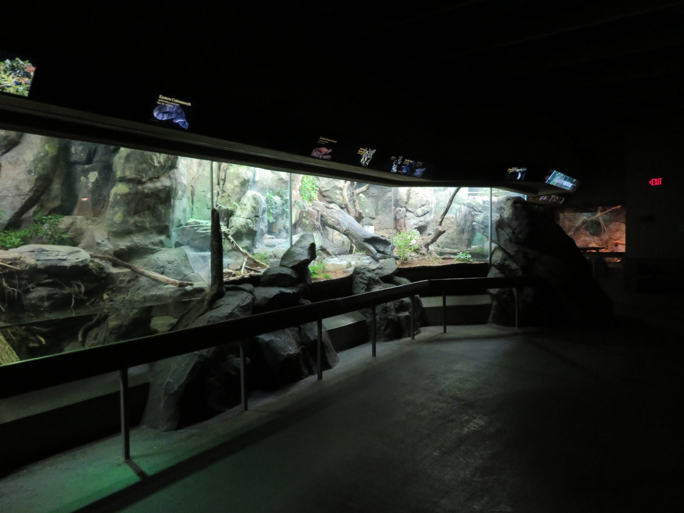 Row of Herp Exhibits