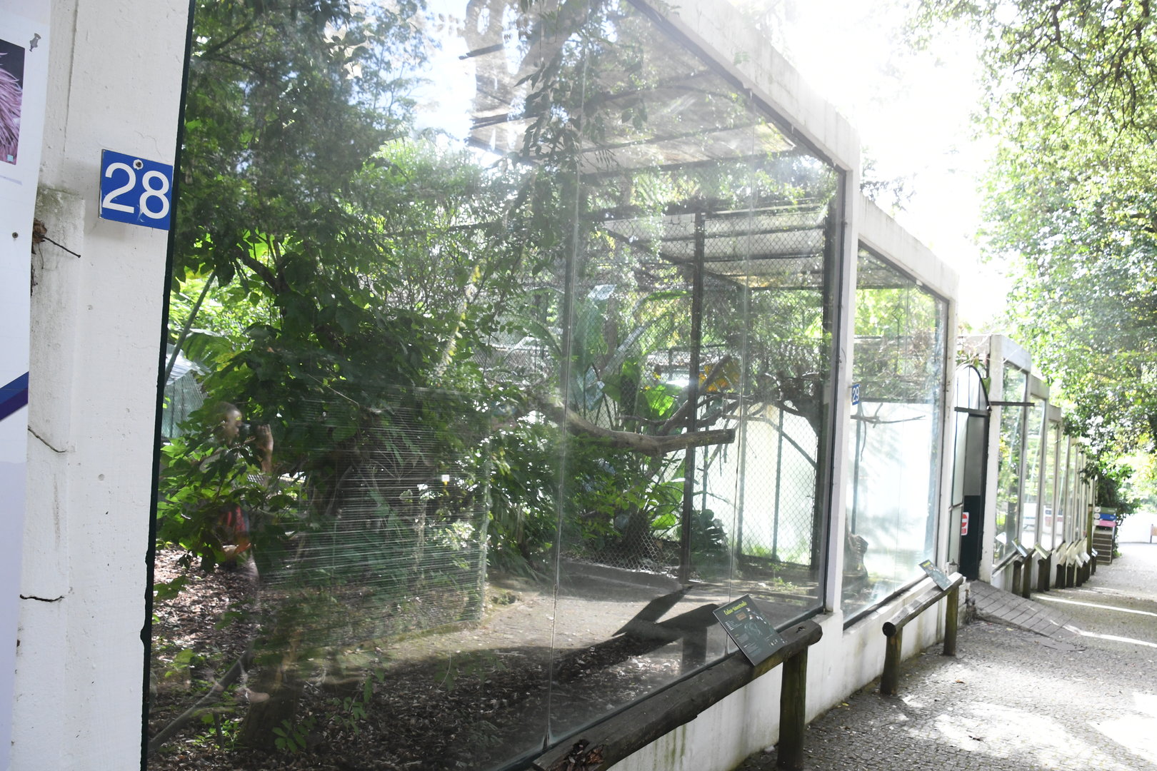 Row of Hornbill Aviaries (Zoo Lourosa)
