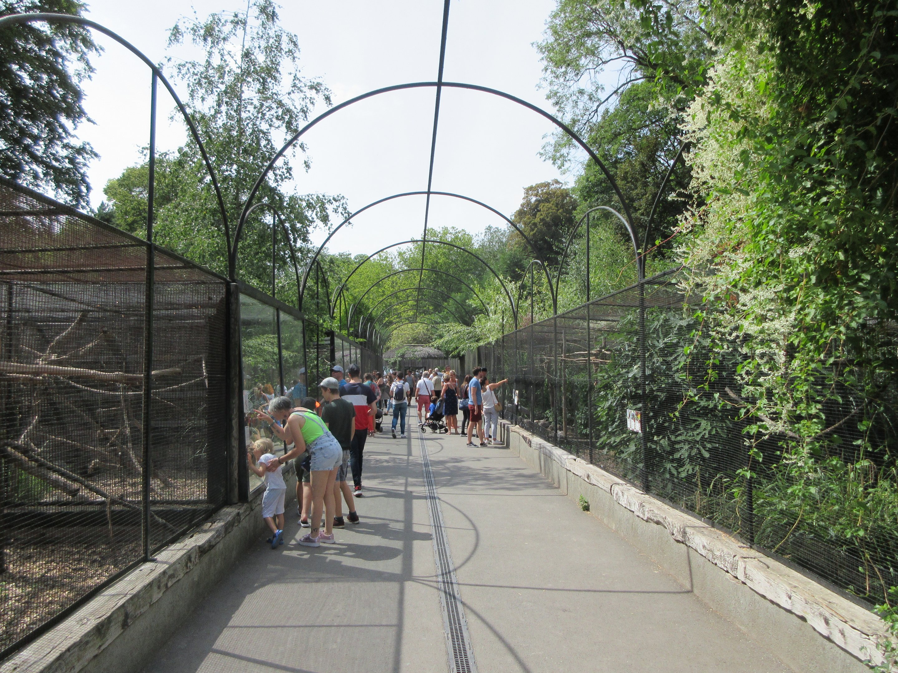 Row of introductory enclosures (Around the World)