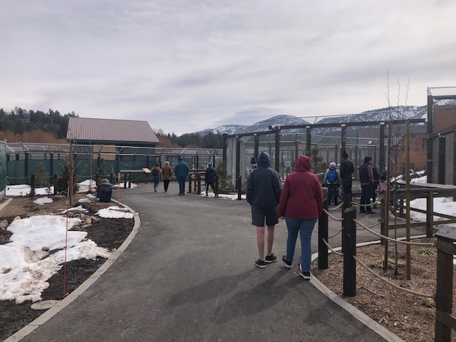 Row of large exhibits