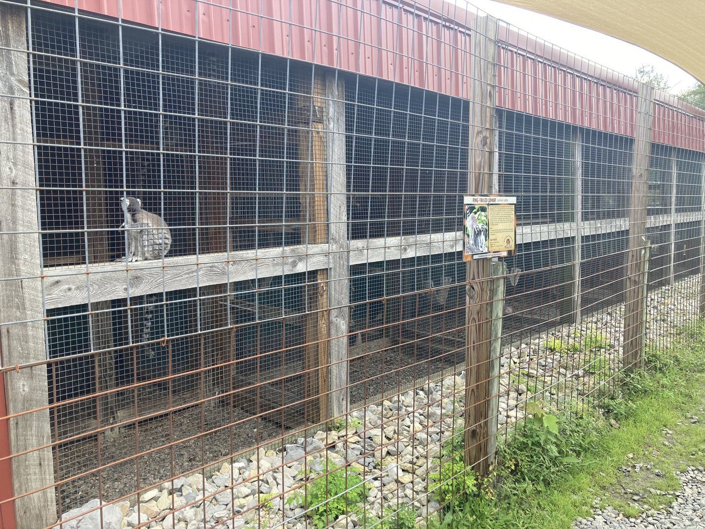 Row of Lemur Cages