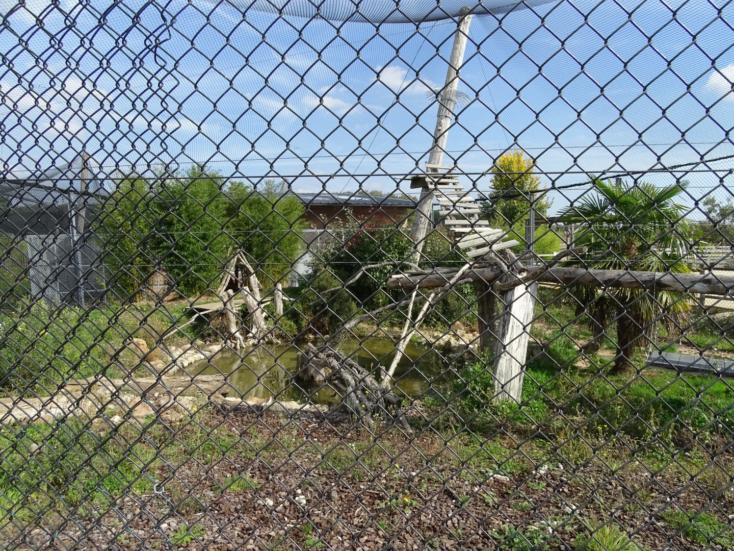 Row of leopard exhibits