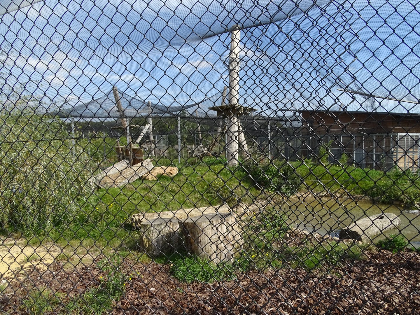 Row of leopard exhibits