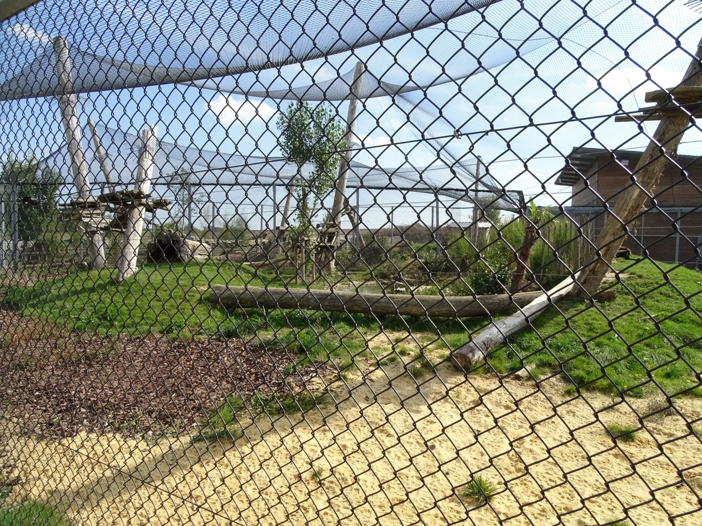 Row of leopard exhibits