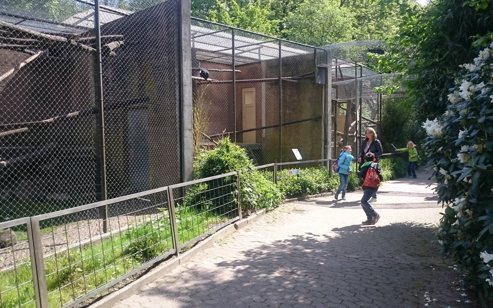 Row of Lion-tailed macaques enclosures