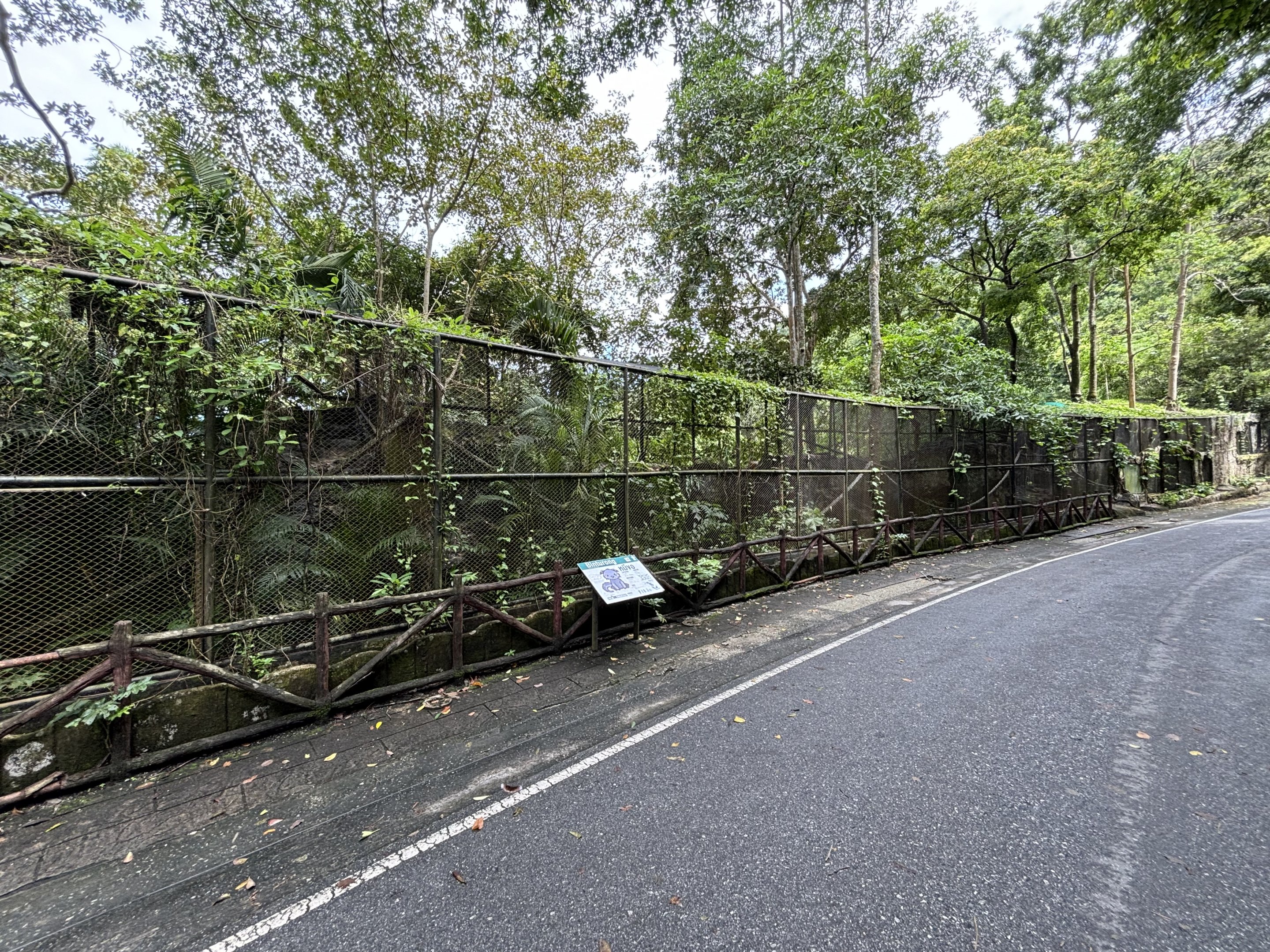 Row of multiple Binturong Exhibits