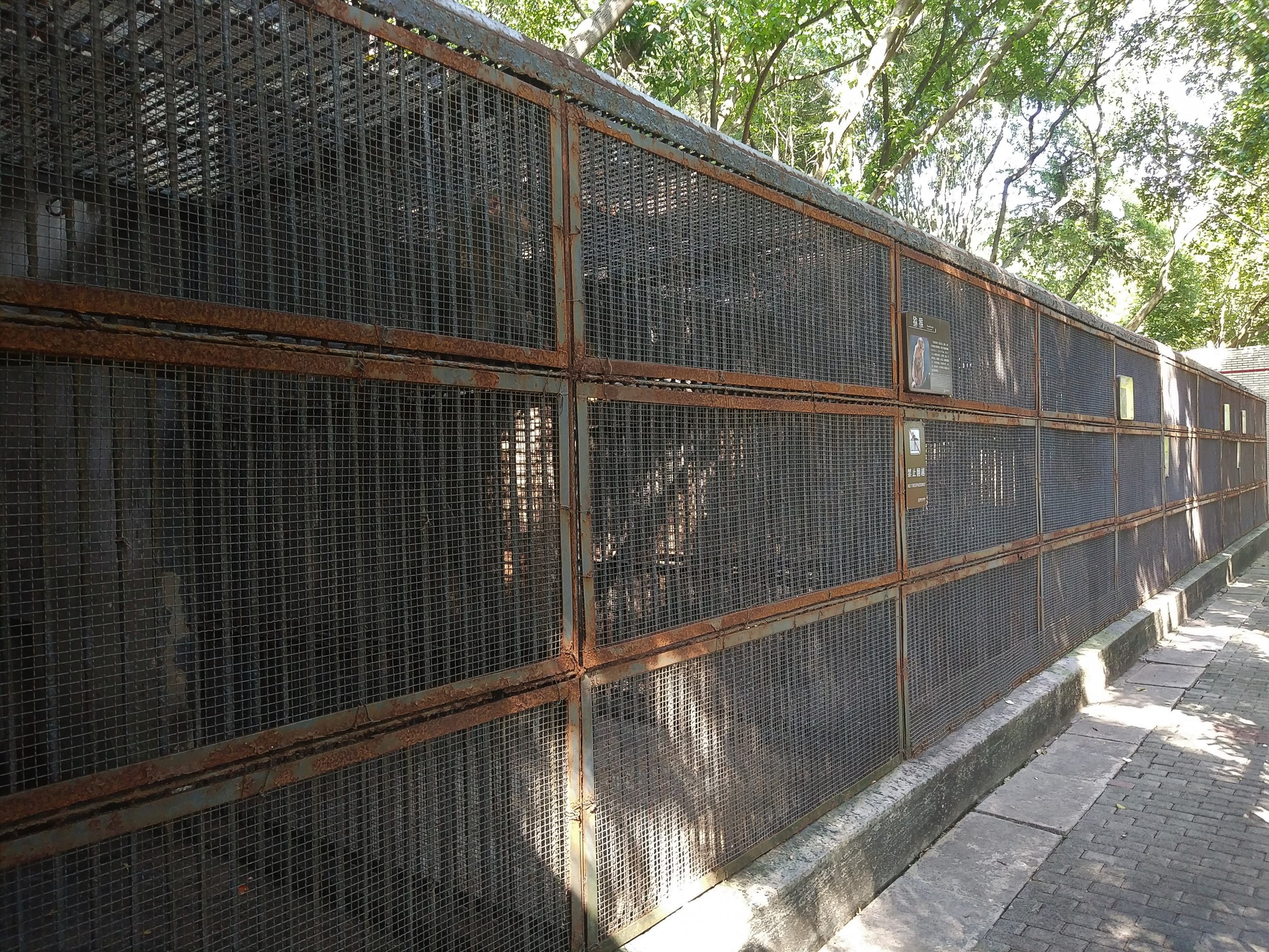 Row of Old Cages