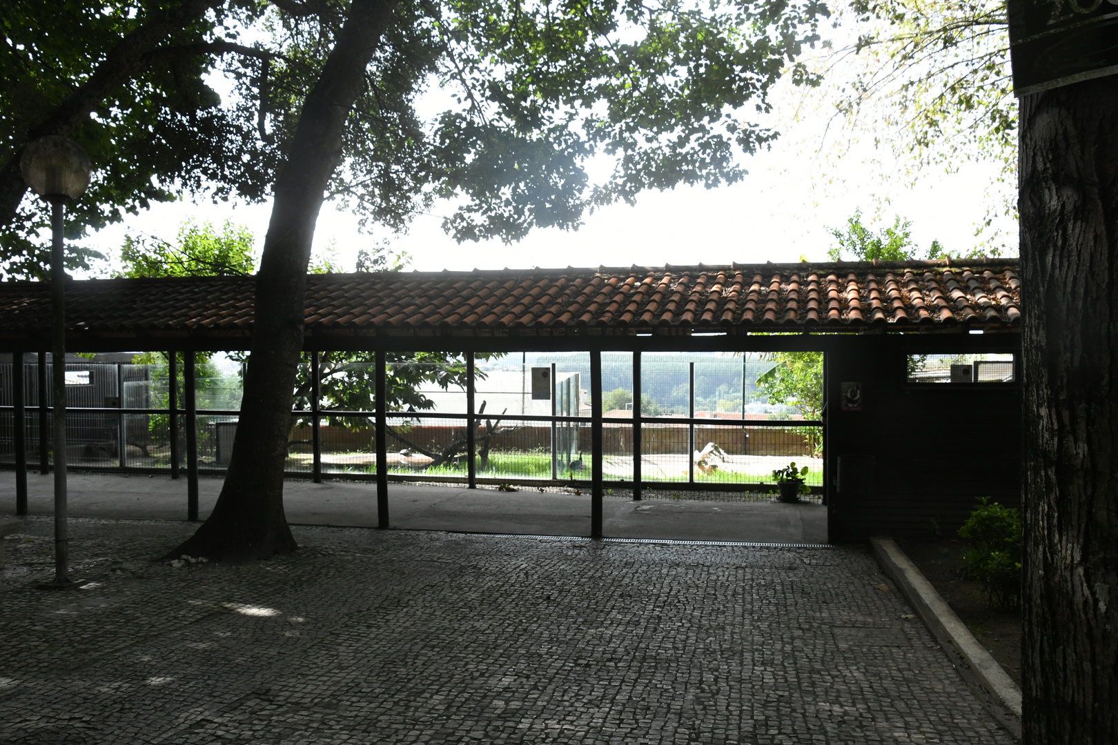 Row of outdoor Reptile pens