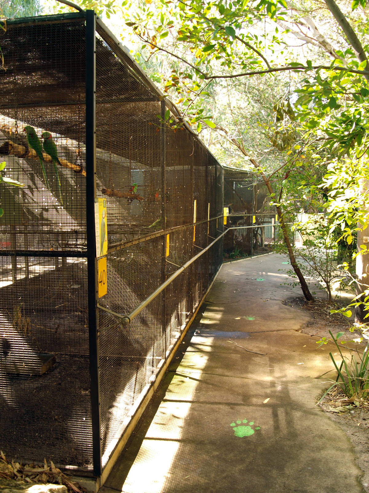 Row of parrot aviaries