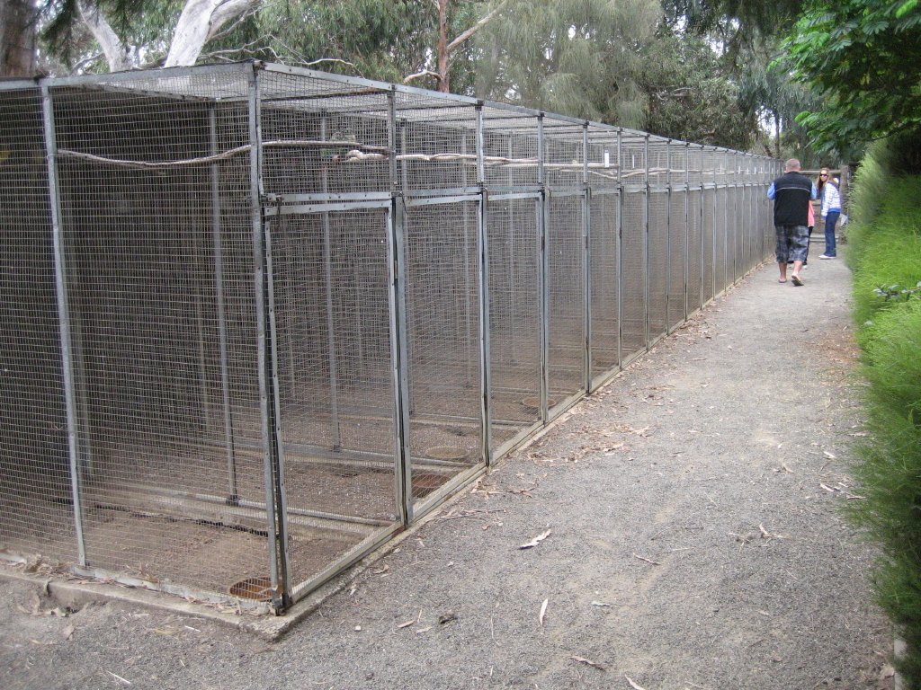Row of parrot aviaries